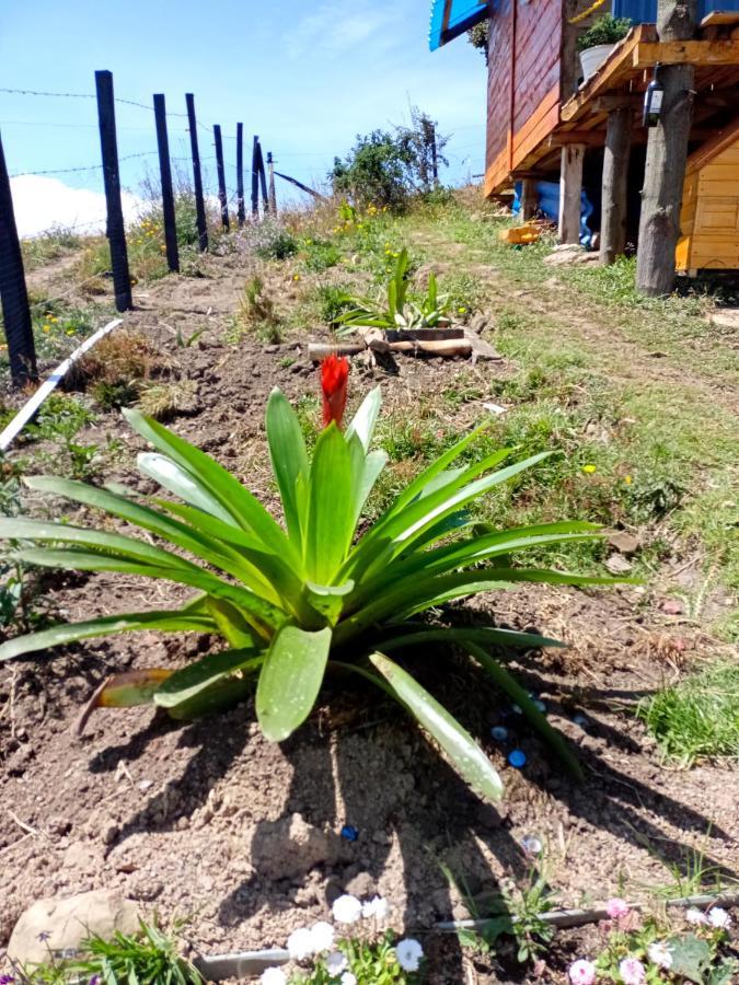 El Olimpo Holiday home Aquitania