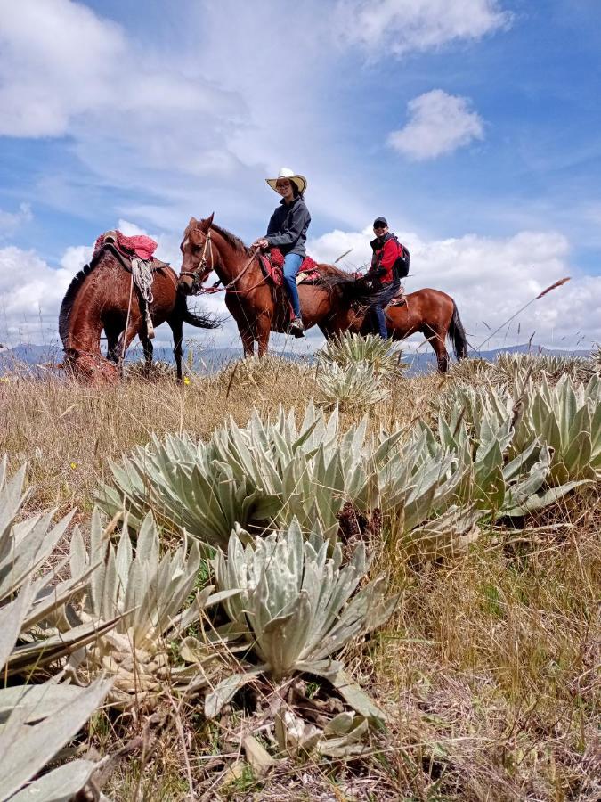 El Olimpo